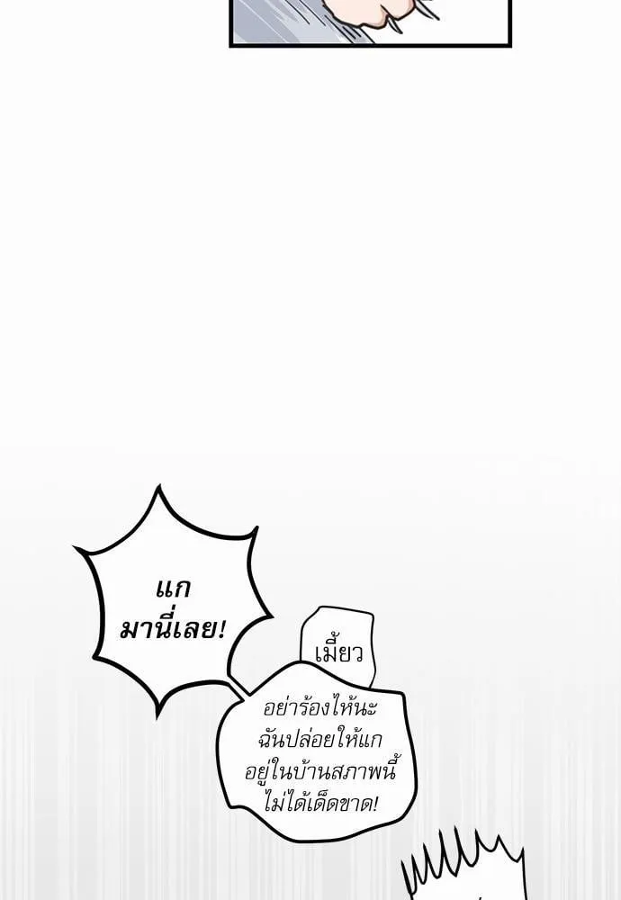 My One and Only Cat ตอนที่ 228 My One and Only Cat ตอนที่ 228