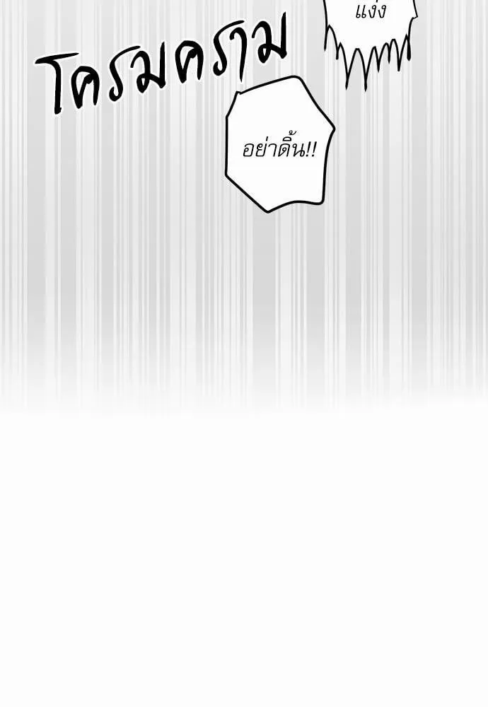 My One and Only Cat ตอนที่ 229 My One and Only Cat ตอนที่ 229