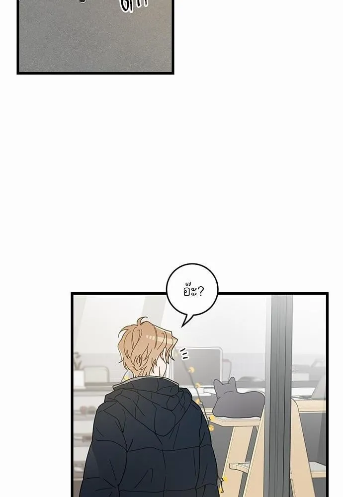 My One and Only Cat ตอนที่ 2302