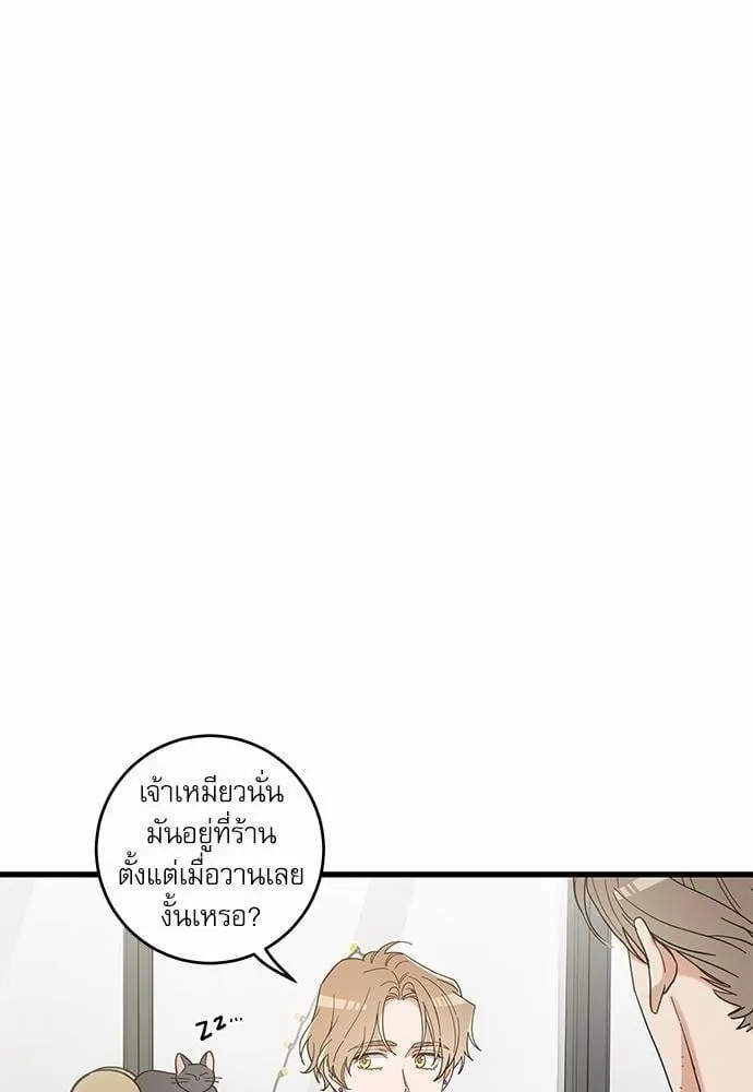 My One and Only Cat ตอนที่ 2306