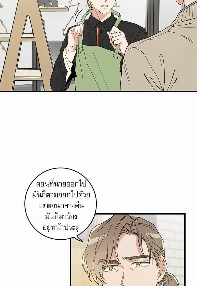 My One and Only Cat ตอนที่ 2307