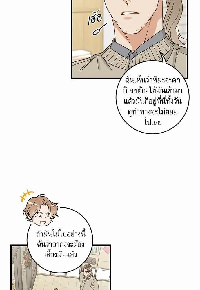 My One and Only Cat ตอนที่ 2308