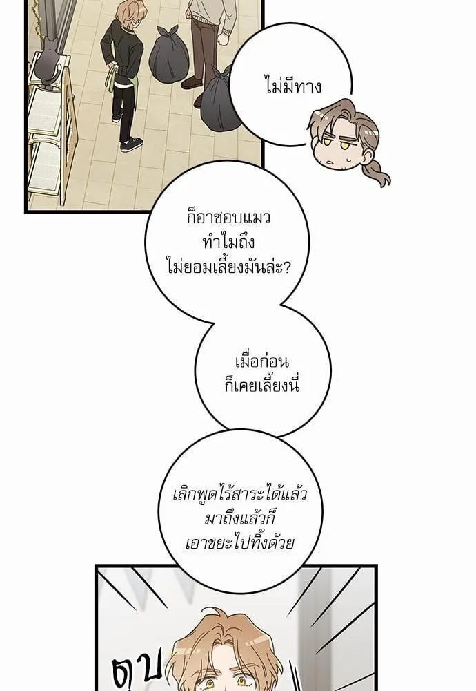 My One and Only Cat ตอนที่ 2309