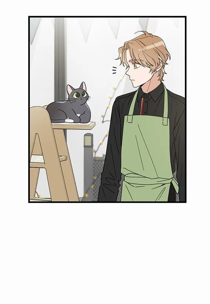 My One and Only Cat ตอนที่ 2313