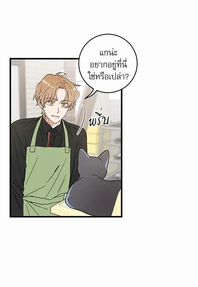 My One and Only Cat ตอนที่ 2314