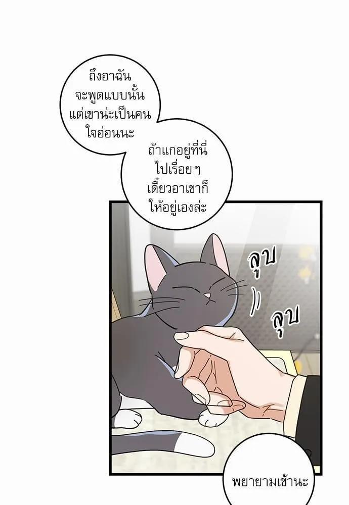 My One and Only Cat ตอนที่ 2315