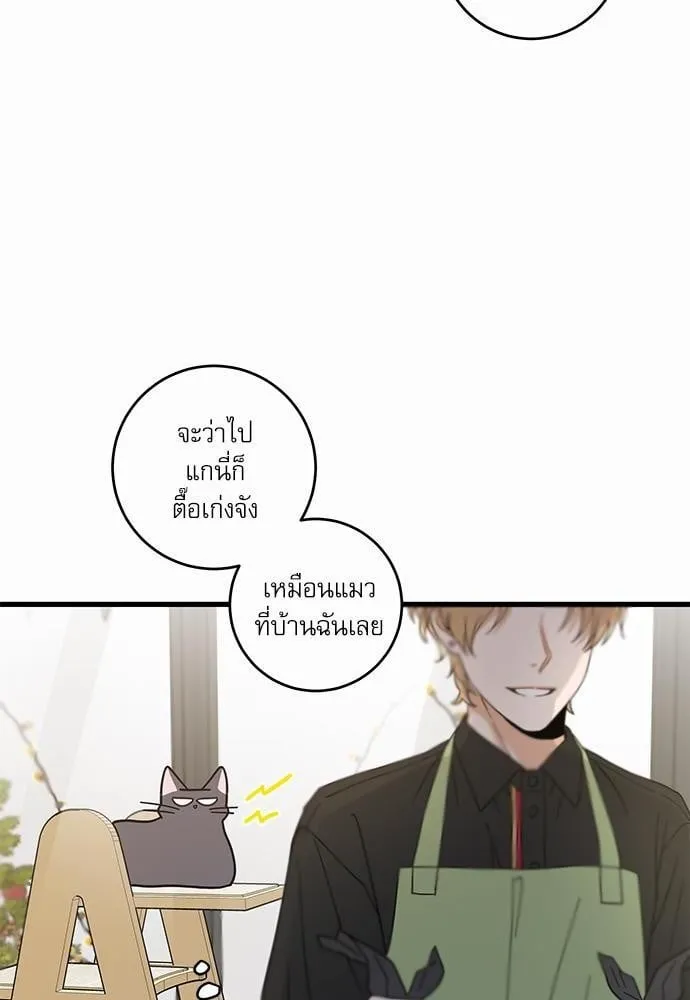 My One and Only Cat ตอนที่ 2316