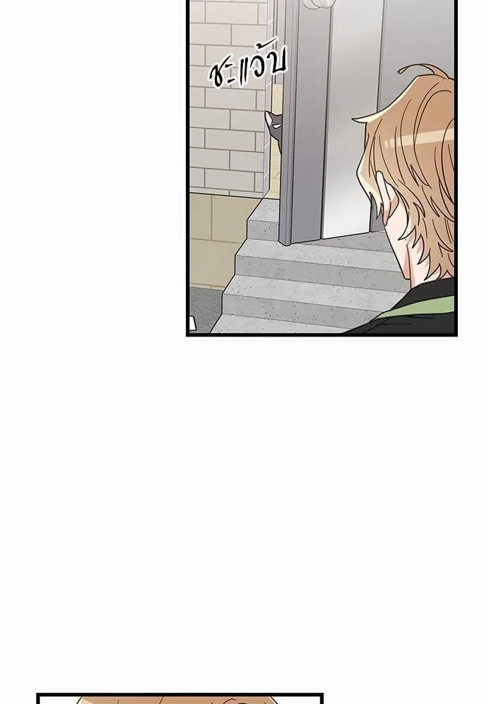 My One and Only Cat ตอนที่ 2321