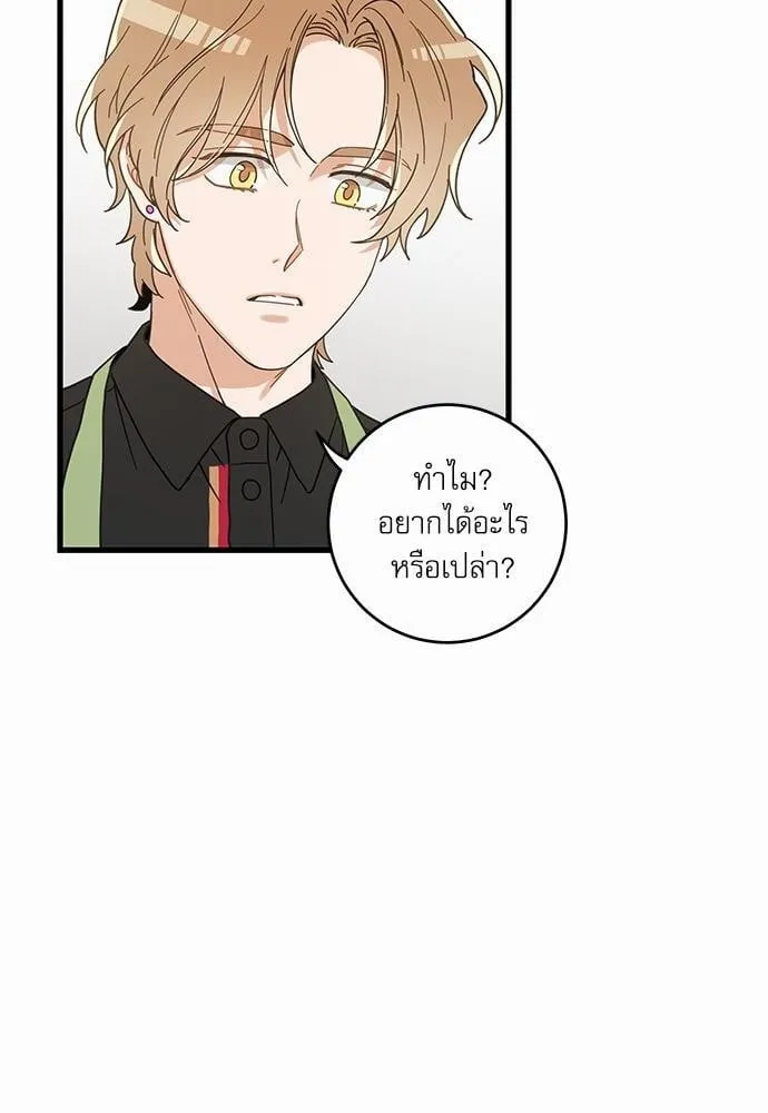 My One and Only Cat ตอนที่ 2322