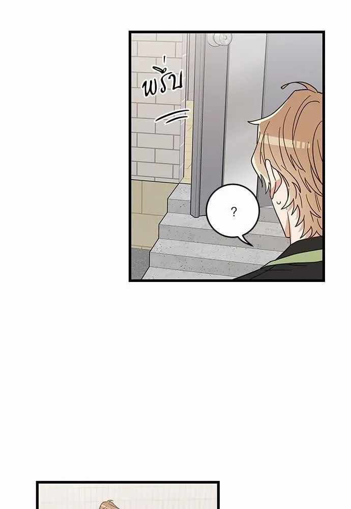 My One and Only Cat ตอนที่ 2323