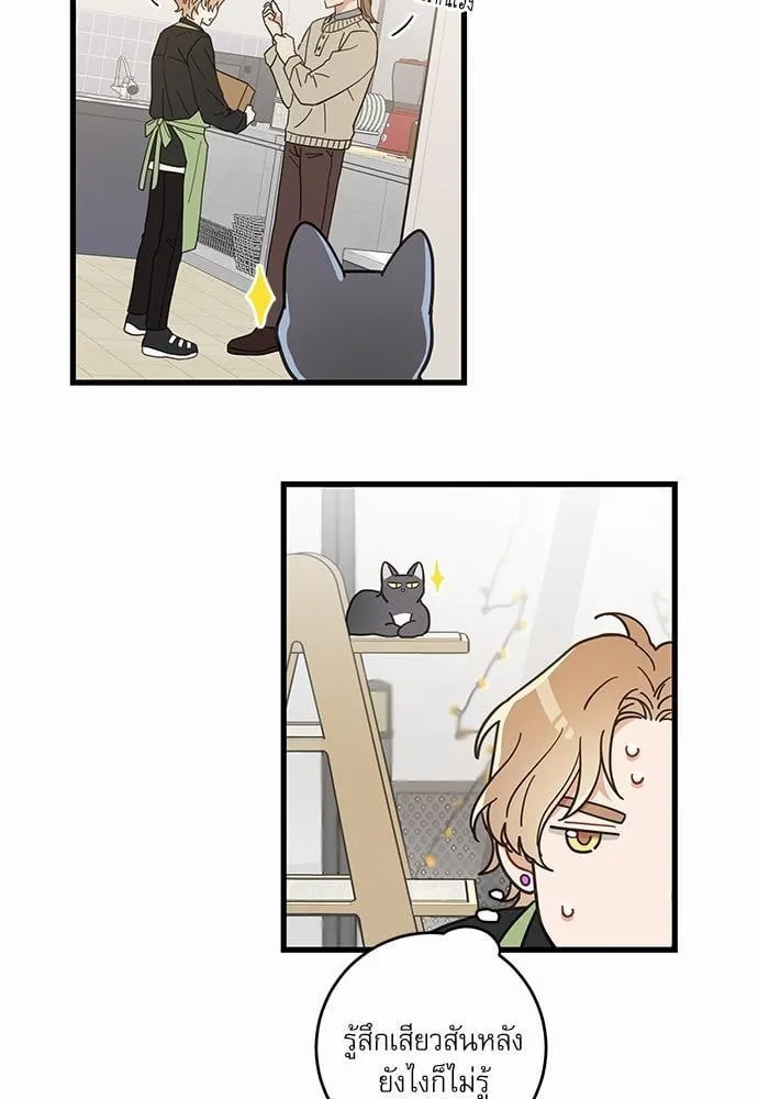 My One and Only Cat ตอนที่ 2325