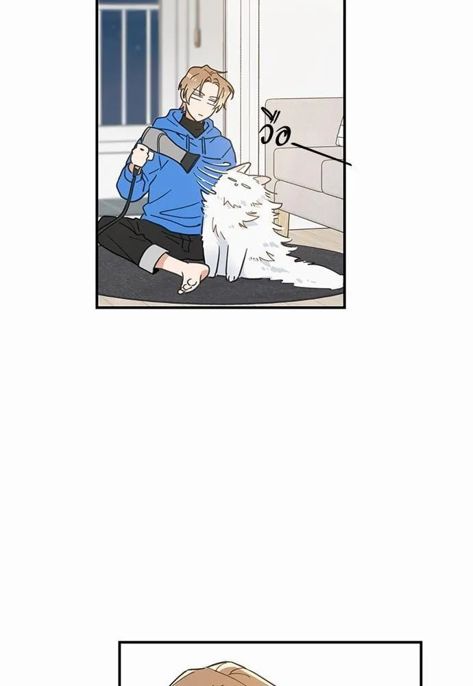 My One and Only Cat ตอนที่ 233 My One and Only Cat ตอนที่ 233