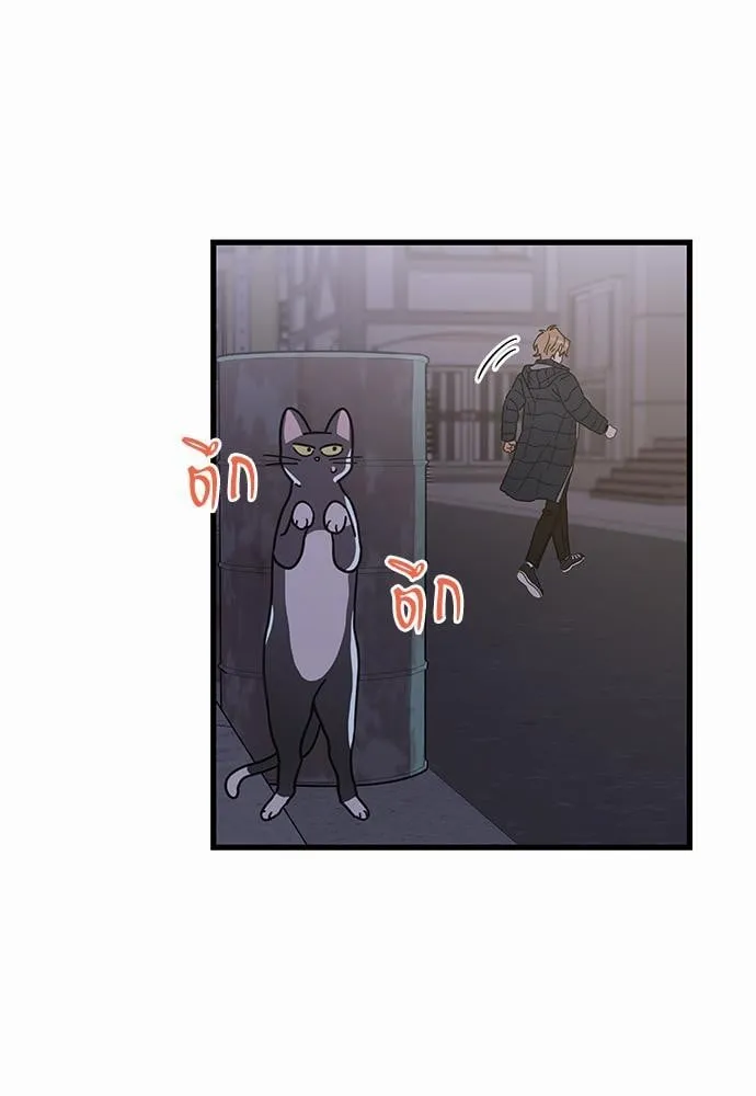 My One and Only Cat ตอนที่ 2333