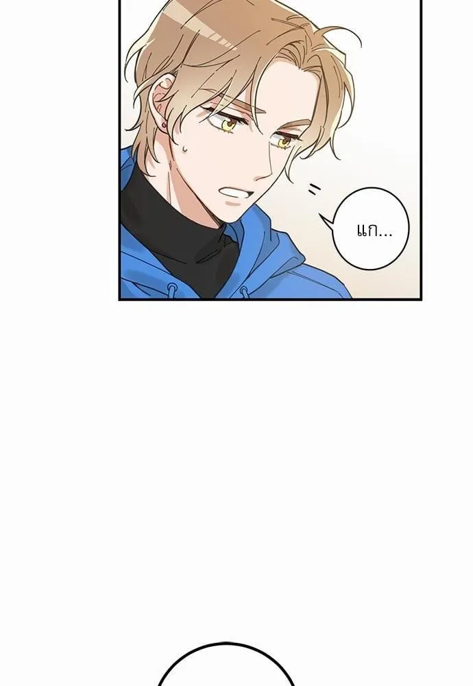 My One and Only Cat ตอนที่ 234 My One and Only Cat ตอนที่ 234