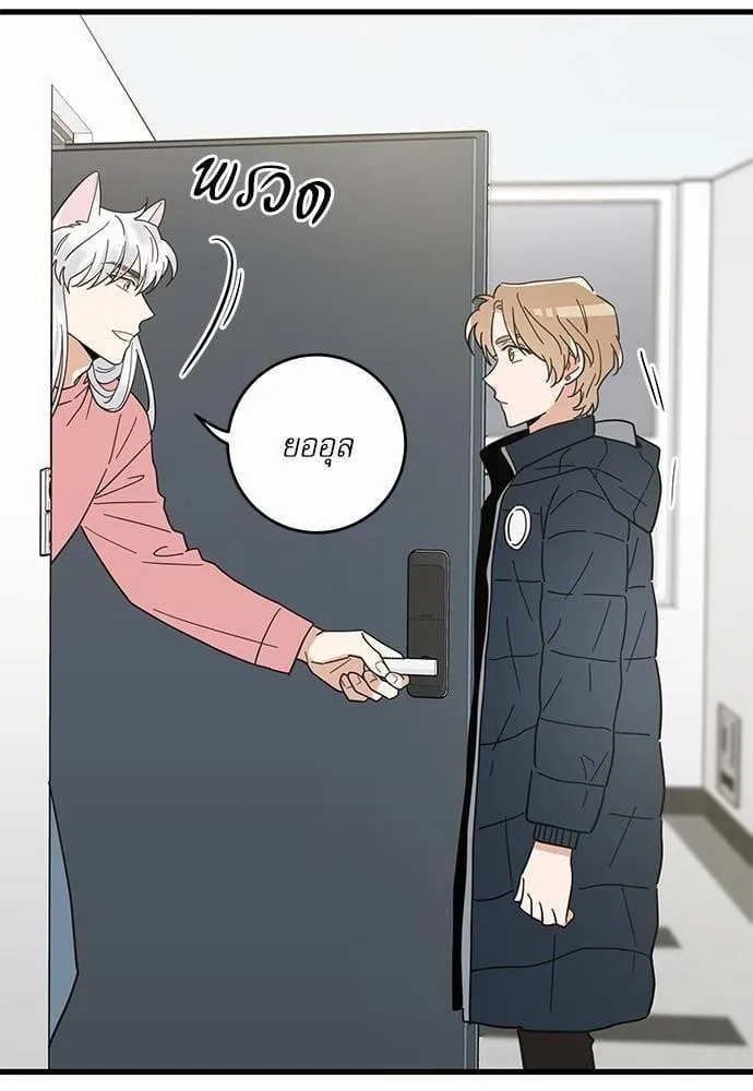 My One and Only Cat ตอนที่ 2340