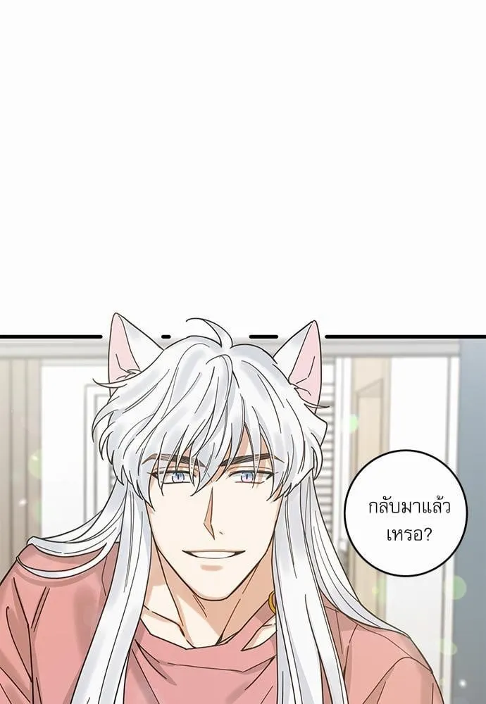 My One and Only Cat ตอนที่ 2341