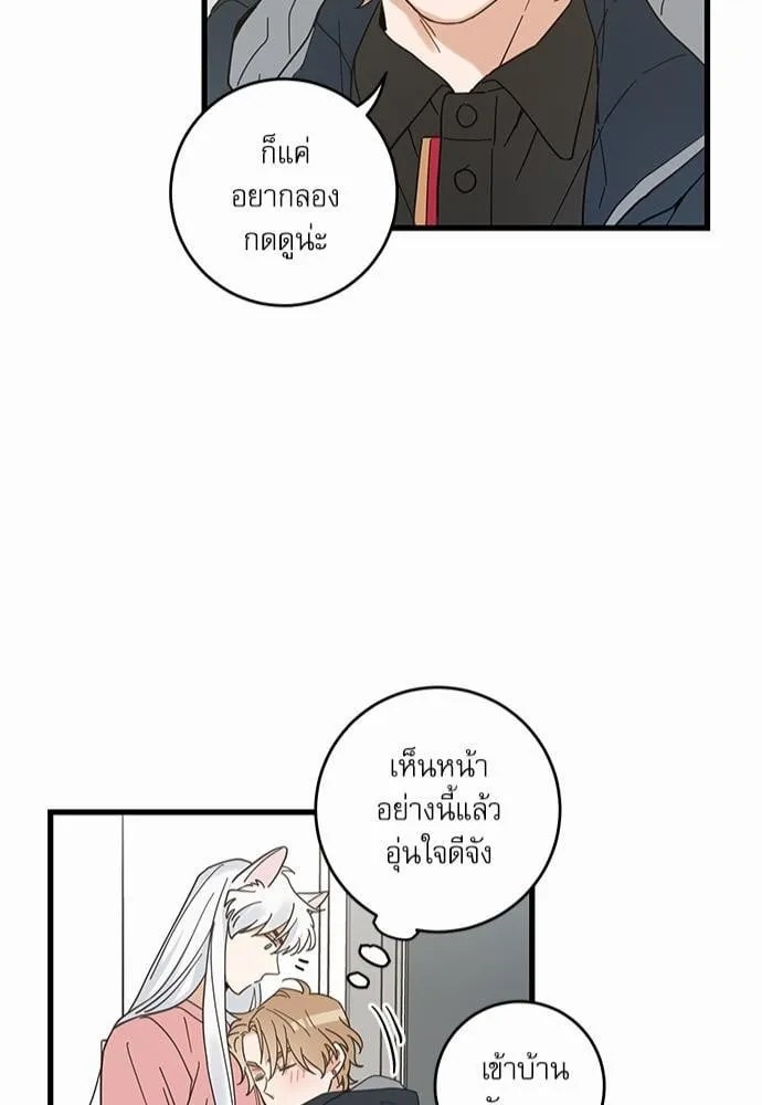 My One and Only Cat ตอนที่ 2343