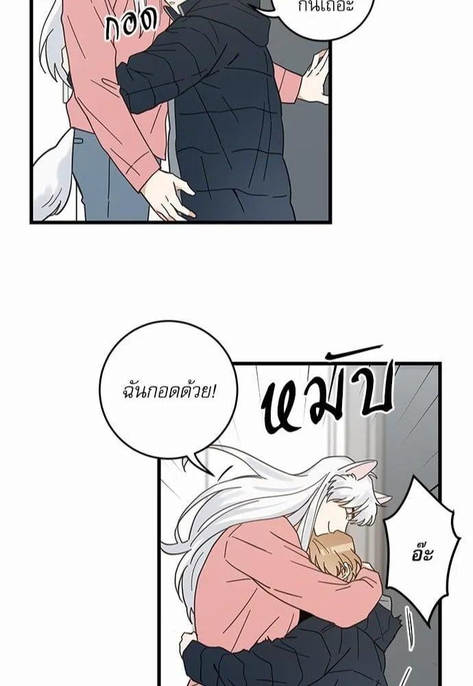 My One and Only Cat ตอนที่ 2344