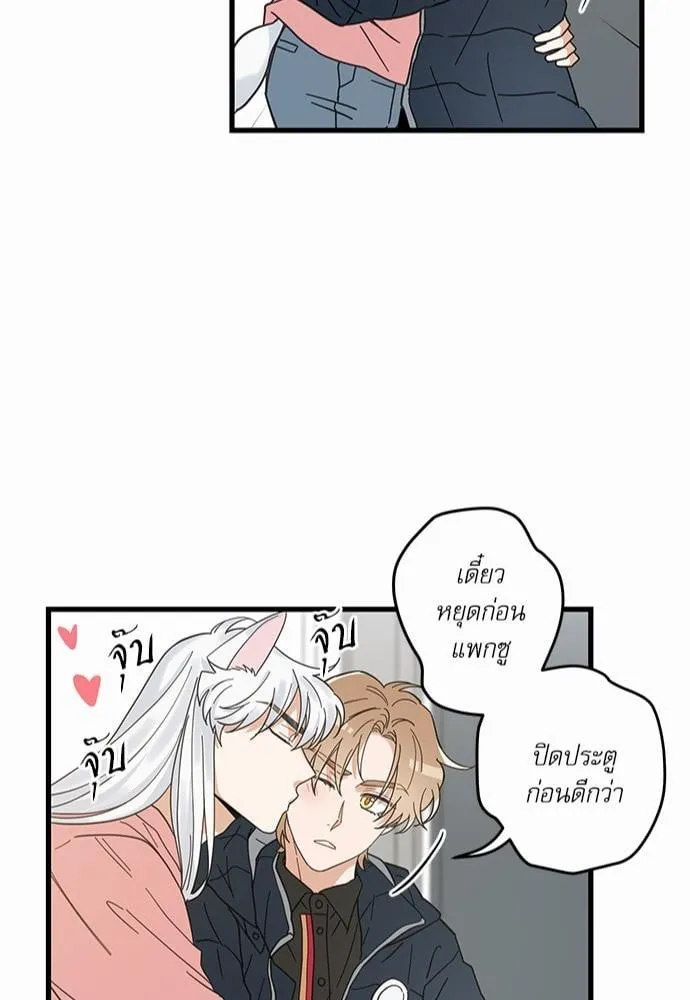 My One and Only Cat ตอนที่ 2345