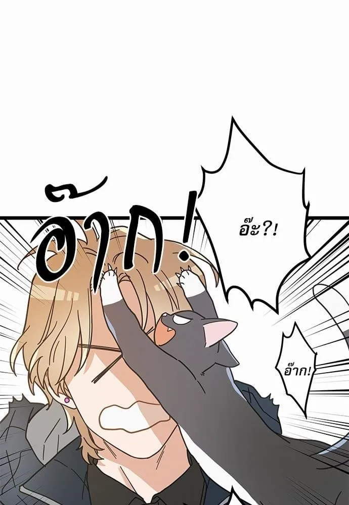 My One and Only Cat ตอนที่ 2348