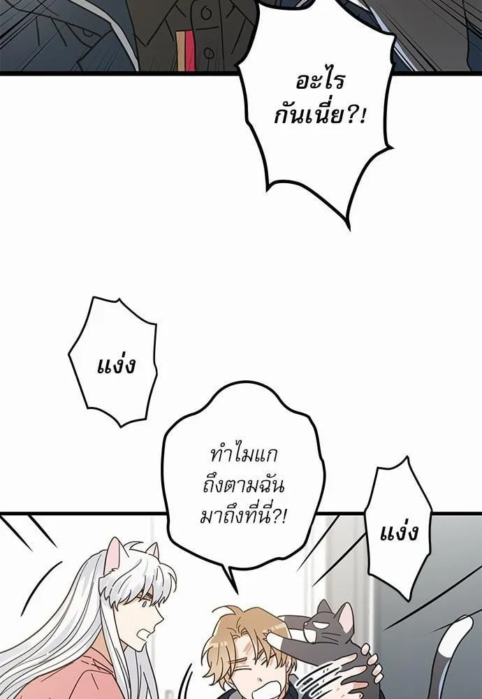 My One and Only Cat ตอนที่ 2349