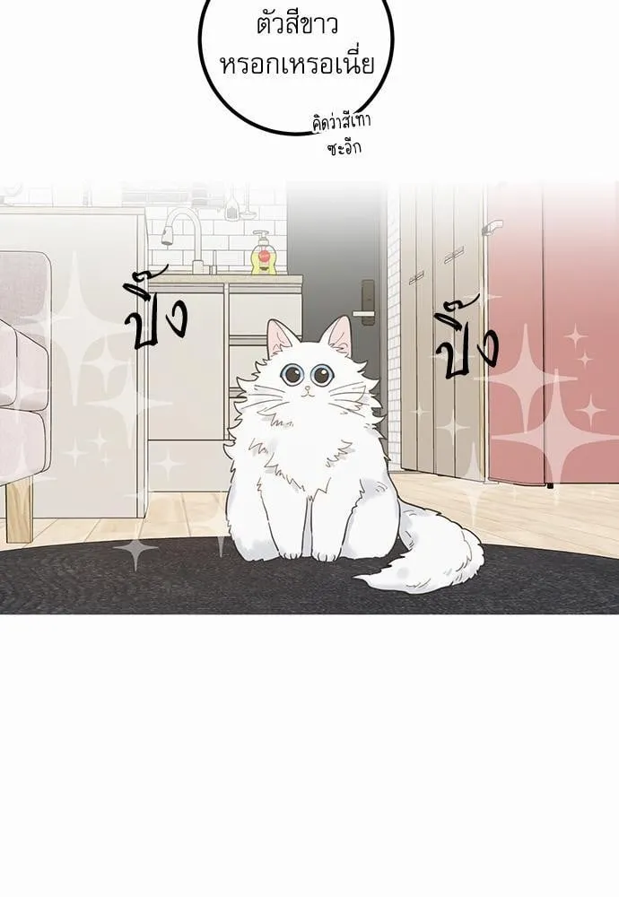 My One and Only Cat ตอนที่ 235 My One and Only Cat ตอนที่ 235