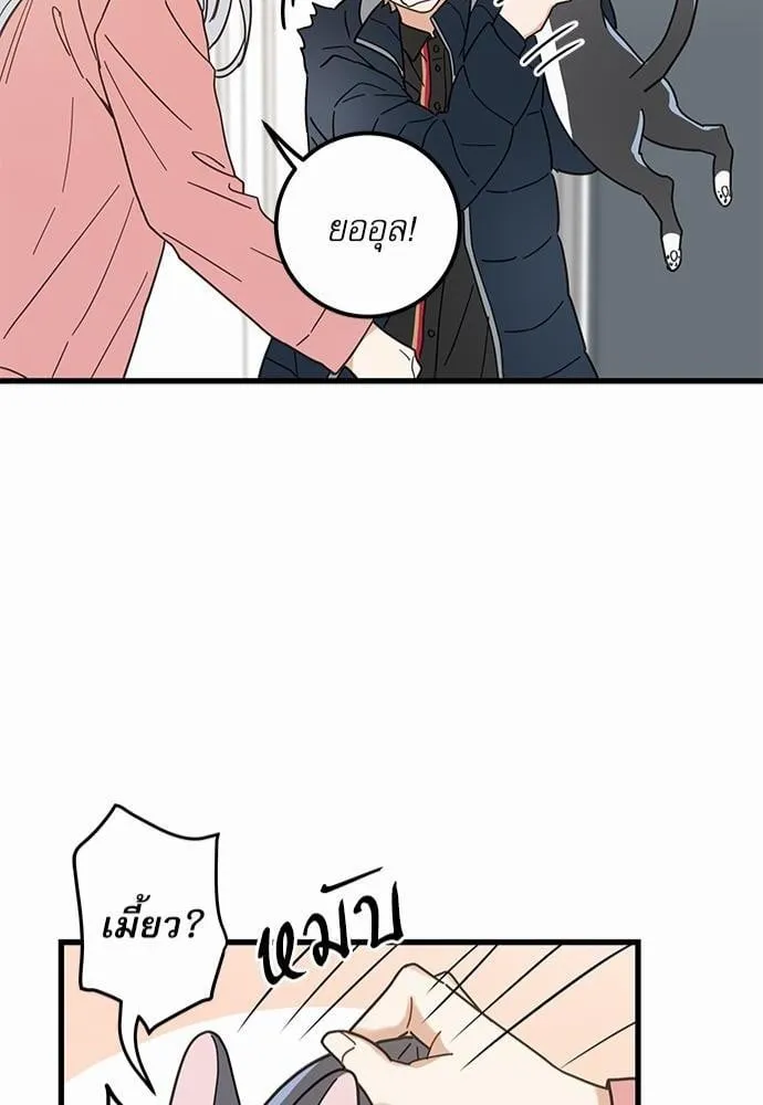 My One and Only Cat ตอนที่ 2350