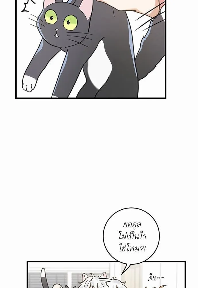 My One and Only Cat ตอนที่ 2351