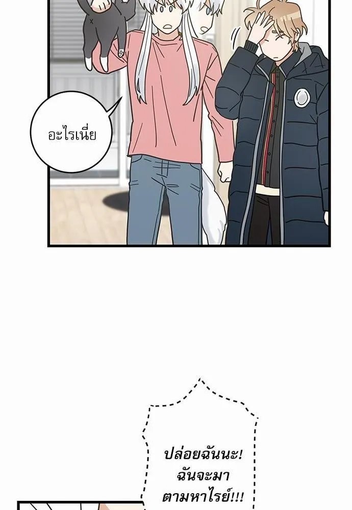 My One and Only Cat ตอนที่ 2352