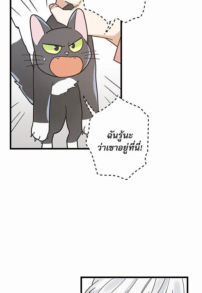 My One and Only Cat ตอนที่ 2353