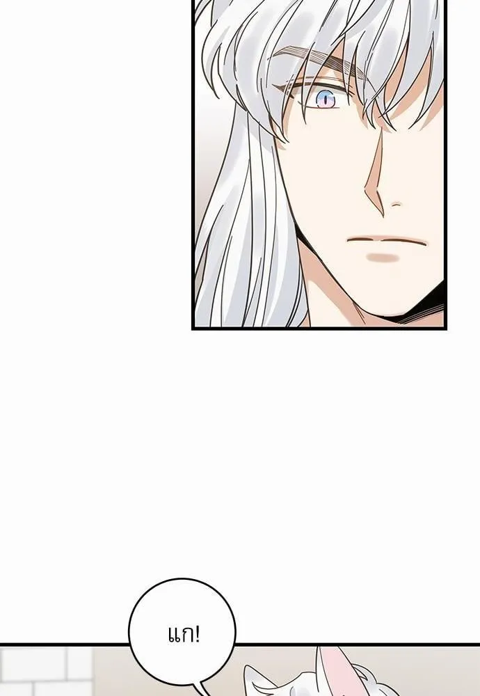 My One and Only Cat ตอนที่ 2354