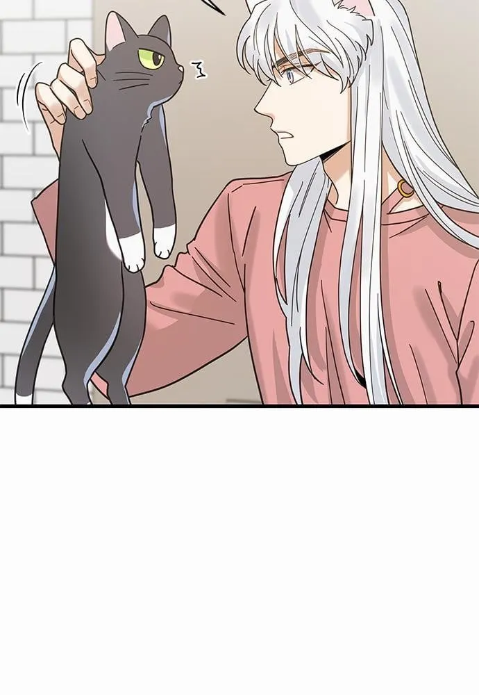 My One and Only Cat ตอนที่ 2355