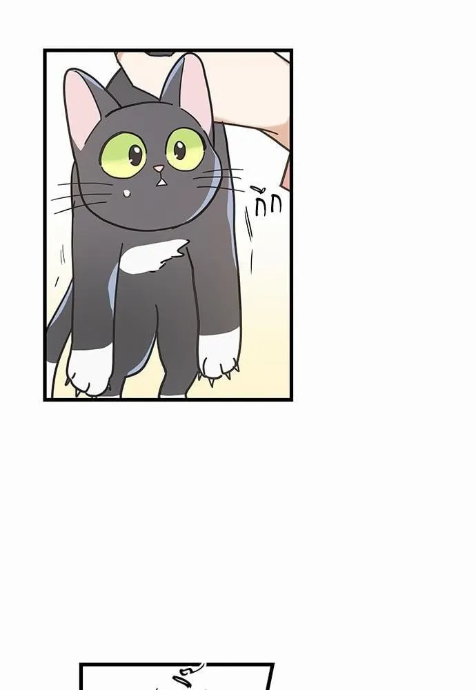 My One and Only Cat ตอนที่ 2356
