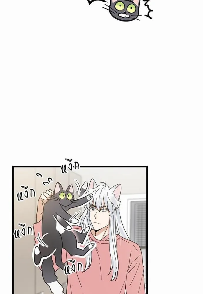 My One and Only Cat ตอนที่ 2358