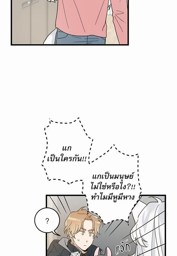My One and Only Cat ตอนที่ 2359