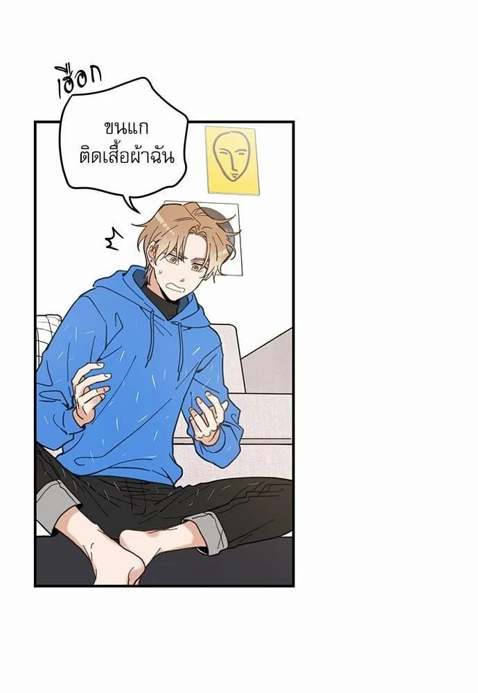 My One and Only Cat ตอนที่ 236 My One and Only Cat ตอนที่ 236