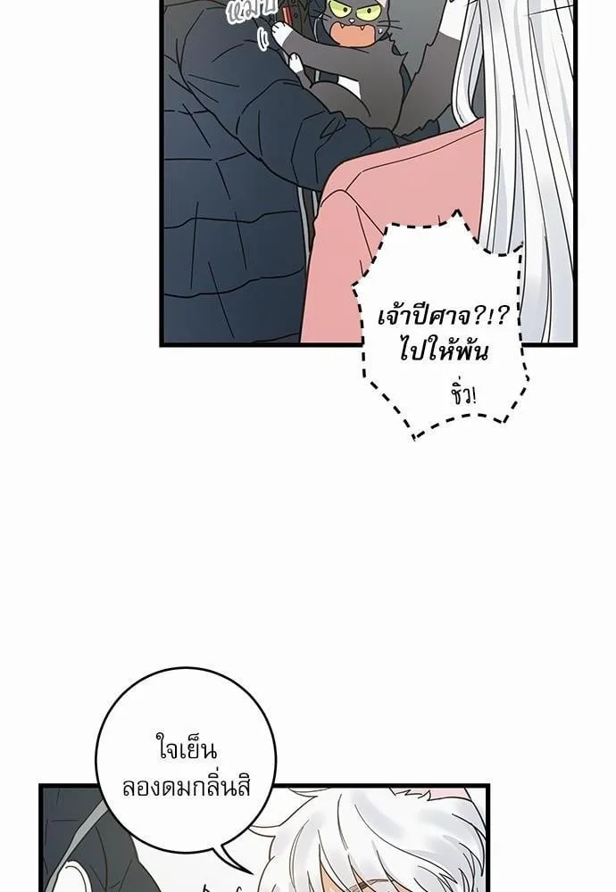 My One and Only Cat ตอนที่ 2360