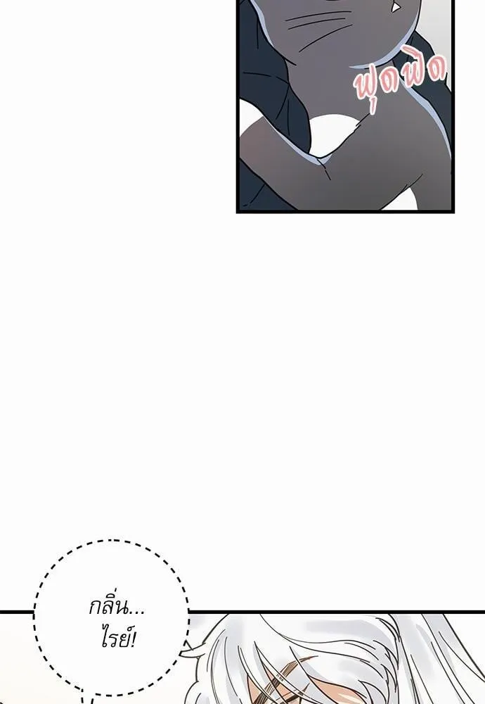 My One and Only Cat ตอนที่ 2362