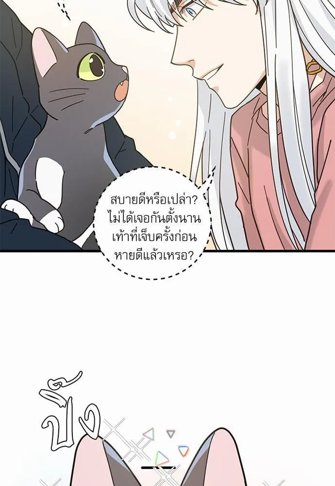 My One and Only Cat ตอนที่ 2363