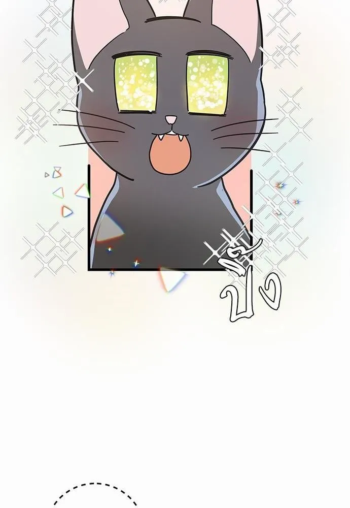 My One and Only Cat ตอนที่ 2364