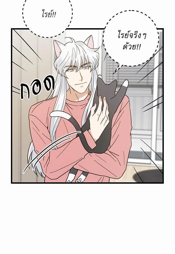 My One and Only Cat ตอนที่ 2365