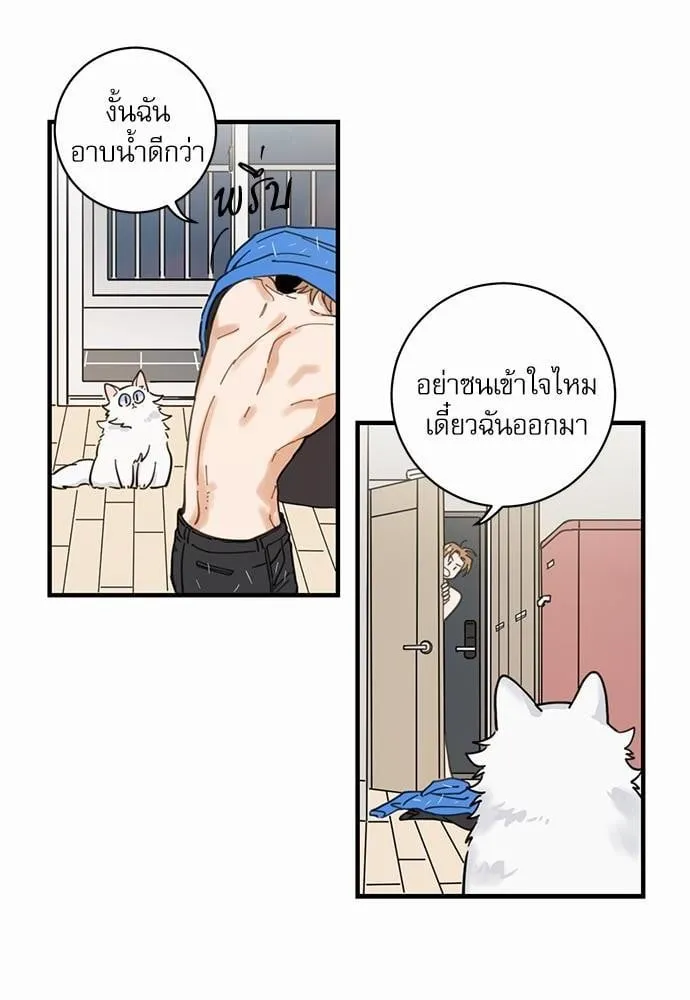 My One and Only Cat ตอนที่ 238 My One and Only Cat ตอนที่ 238