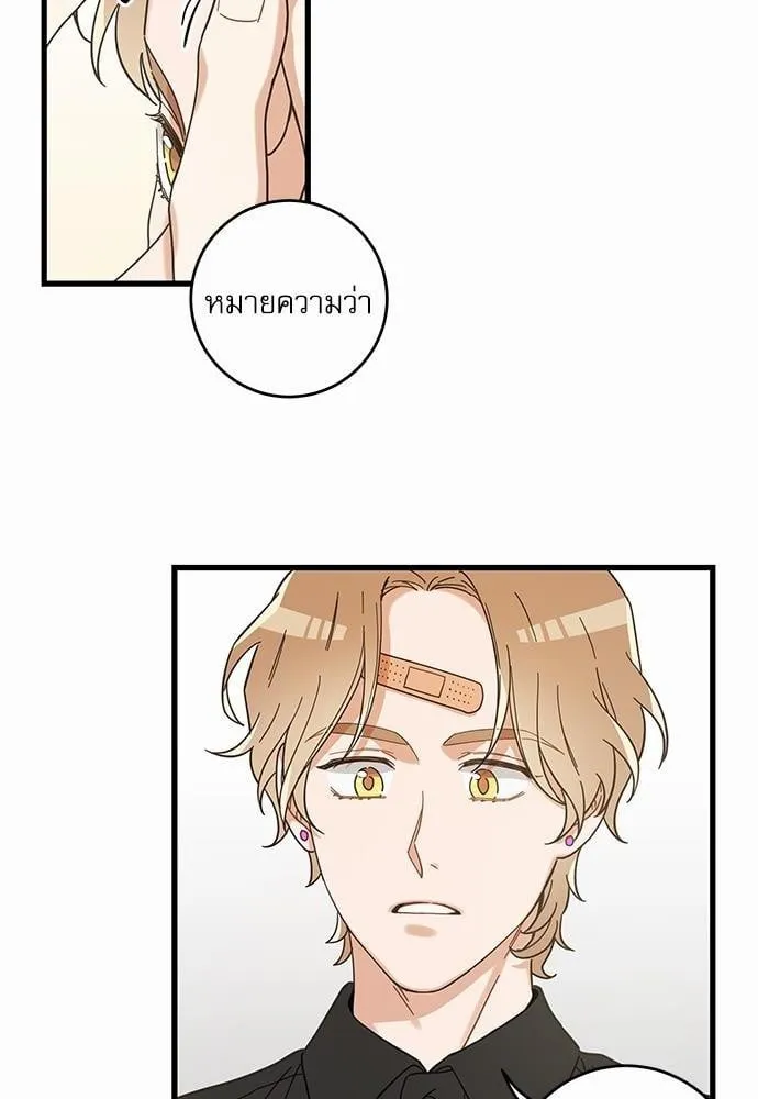 My One and Only Cat ตอนที่ 2402 My One and Only Cat ตอนที่ 2402