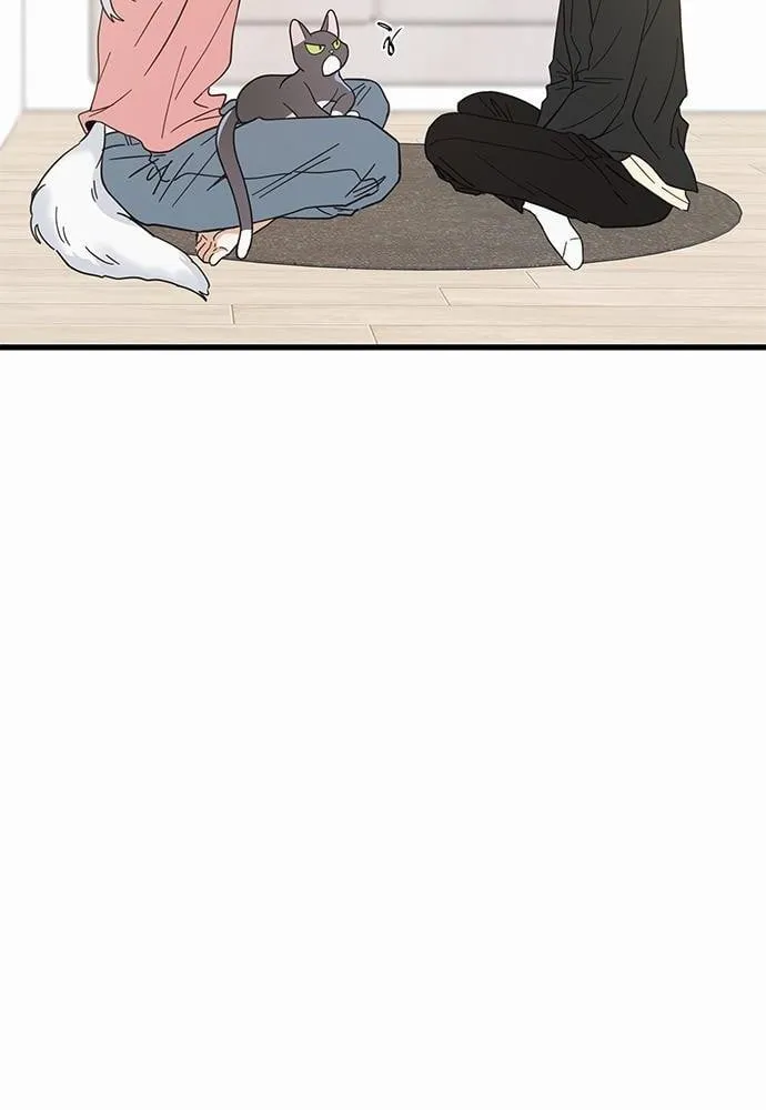 My One and Only Cat ตอนที่ 2404 My One and Only Cat ตอนที่ 2404