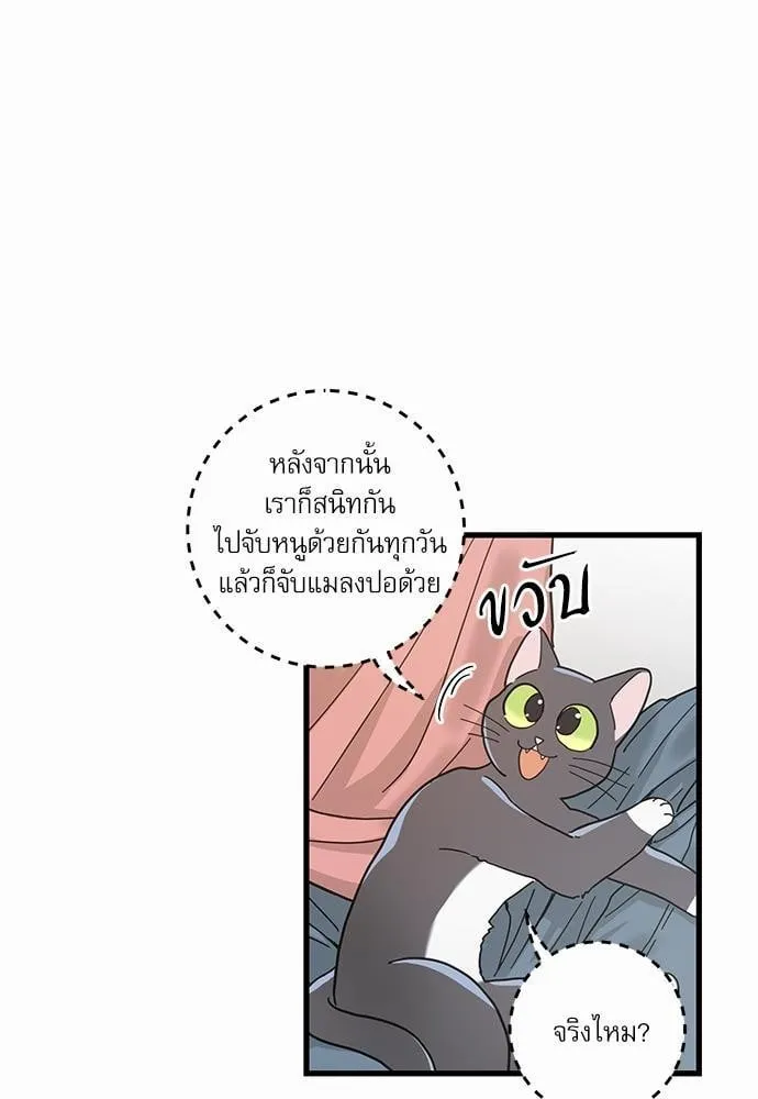 My One and Only Cat ตอนที่ 2407 My One and Only Cat ตอนที่ 2407