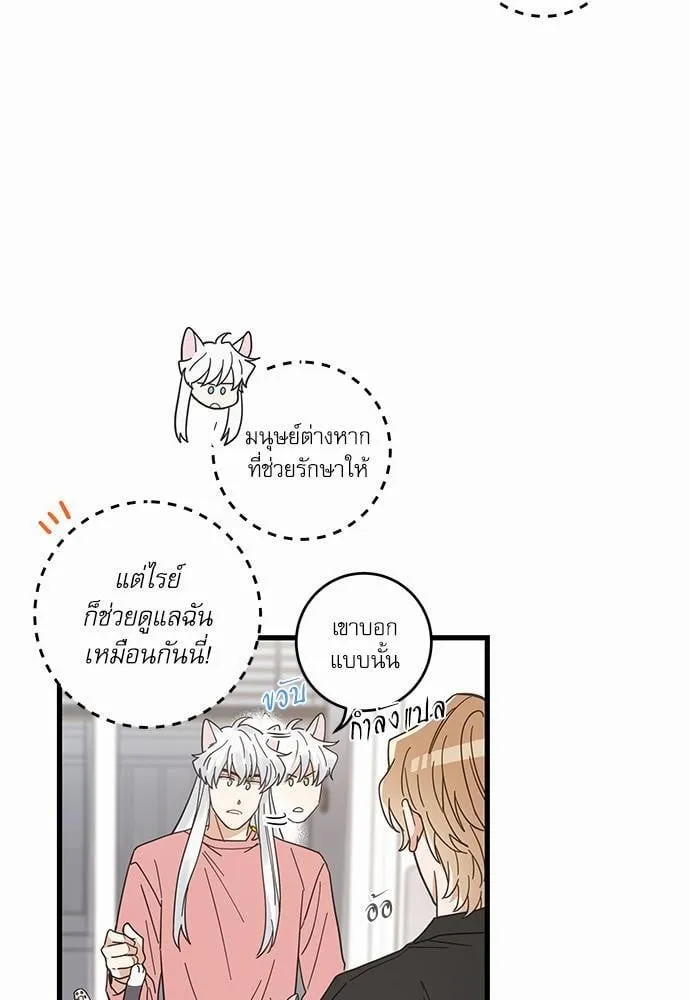 My One and Only Cat ตอนที่ 2408 My One and Only Cat ตอนที่ 2408
