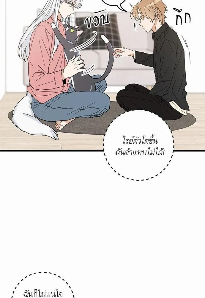 My One and Only Cat ตอนที่ 2412 My One and Only Cat ตอนที่ 2412