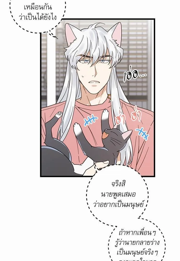 My One and Only Cat ตอนที่ 2413 My One and Only Cat ตอนที่ 2413