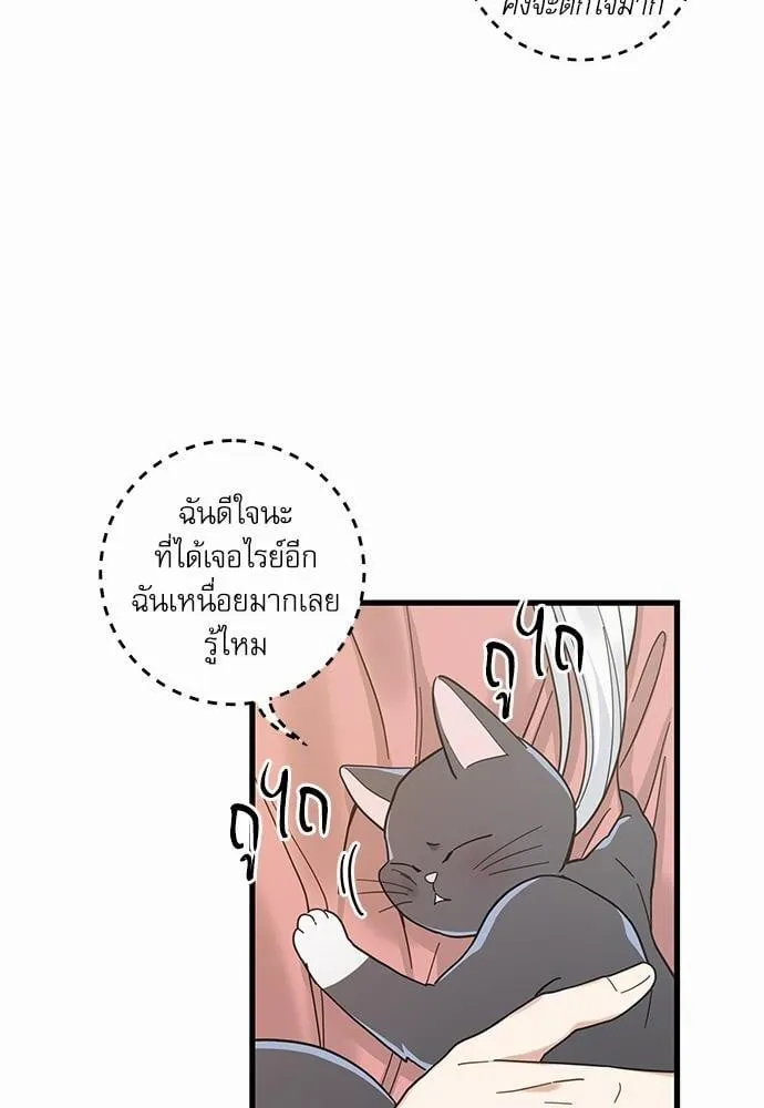 My One and Only Cat ตอนที่ 2414 My One and Only Cat ตอนที่ 2414