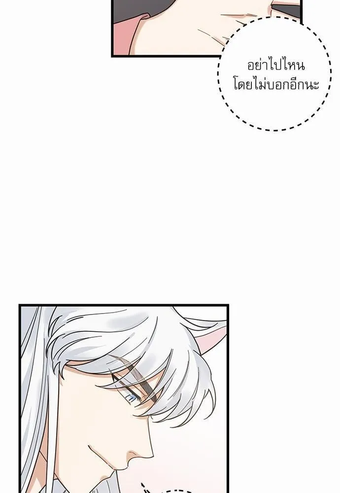 My One and Only Cat ตอนที่ 2415 My One and Only Cat ตอนที่ 2415